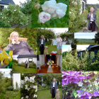 thumbs/kollage1.png